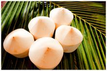 Fresh Young Coconut