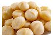 MACADAMIA NUT