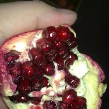 fresh pomegranate