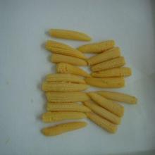 canned baby corn in tins