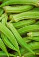 okra