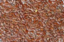  Linen  seeds