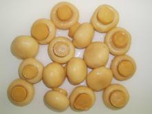 canned mushroom