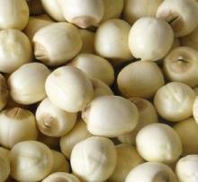 Guangchang  White   Lotus  Seed