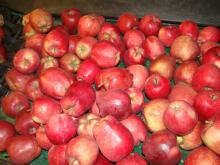Huaniu Apple
