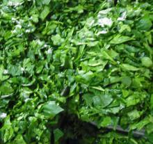Frozen Spinach