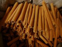 Stick cassia