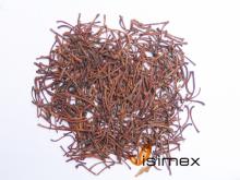  Stem   Aniseed 