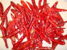 Dried Red chilli