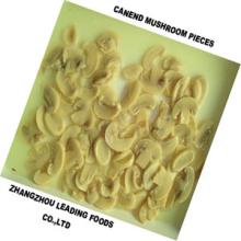 canned mushroom,p&s