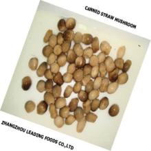 canned straw mushroom
