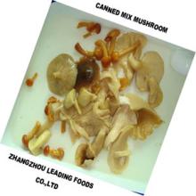 canned mixed mushrooms