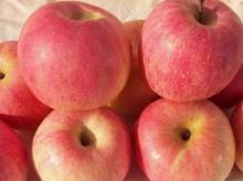 fresh red and green apples
