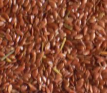  Linseed  ( Flax   seed )