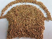 2012 roasted buckwheat kernels