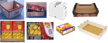 Corrugated Fruit boxes & Trays