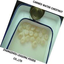 canned water chestnut