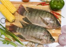 tilapia  Gutted  and  Scaled ,IQF