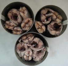 Canned Jack Mackerel