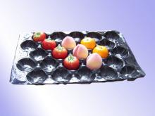 China Manufacturer SGS Plastic Fruit Punnet