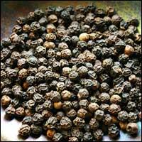 Black Pepper Essential Oil