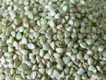 Natural buckwheat kernels from Inner Mongolia,China,Grop 2012