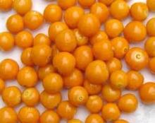 Golden berry