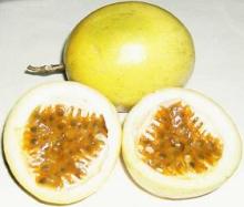 Maracuya