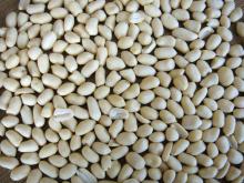 blanched peanut 61/71
