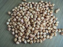 peanut kernels 40/50