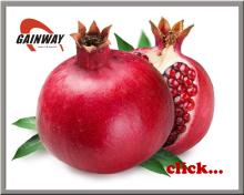 Ellagic acid 40% Punicalagins 20%  Pomegranate   Extract   powder 