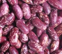 purple speckled kidney beans