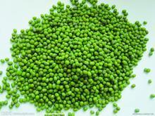 Mung bean
