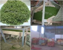 Raw seaweed