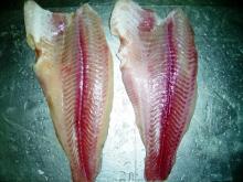 Pangasius Fillet Untrimmed