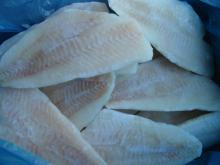 FROZEN RED FISH FILLET