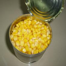Fresh/ Frozen/ Canned Corn