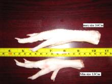 Frozen Clean Pork Feet