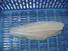 Pangasius Fillet Welltrimmed - White meat