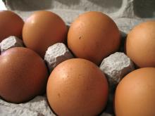 Fresh Non-Hatching Brown Eggs