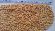  Split   Yellow   Peas 