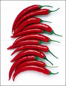 red chilli