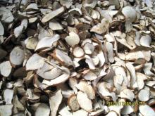  casava  chips
