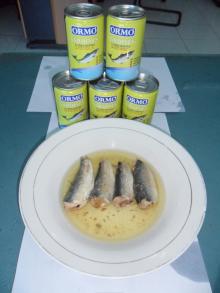  CAN NED  SARDINE S