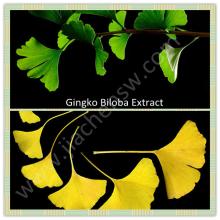 Food Grade -- Ginkgo biloba extract powder