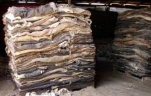 KARAKUL  SHEEP  SKIN