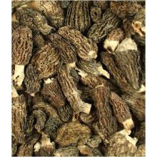 Dried morels (Wild)
