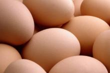  Fresh   white   shell   chicken   eggs 