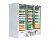 Glass Door Freezer Phoenix