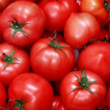 Tomato Extract Lycopene/Tomato P.E Licopin 5%10%